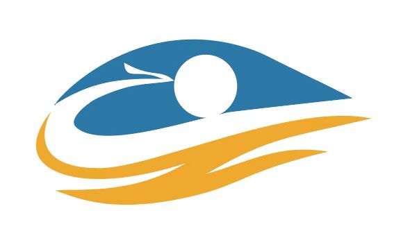 宁夏视界无限科技 Logo